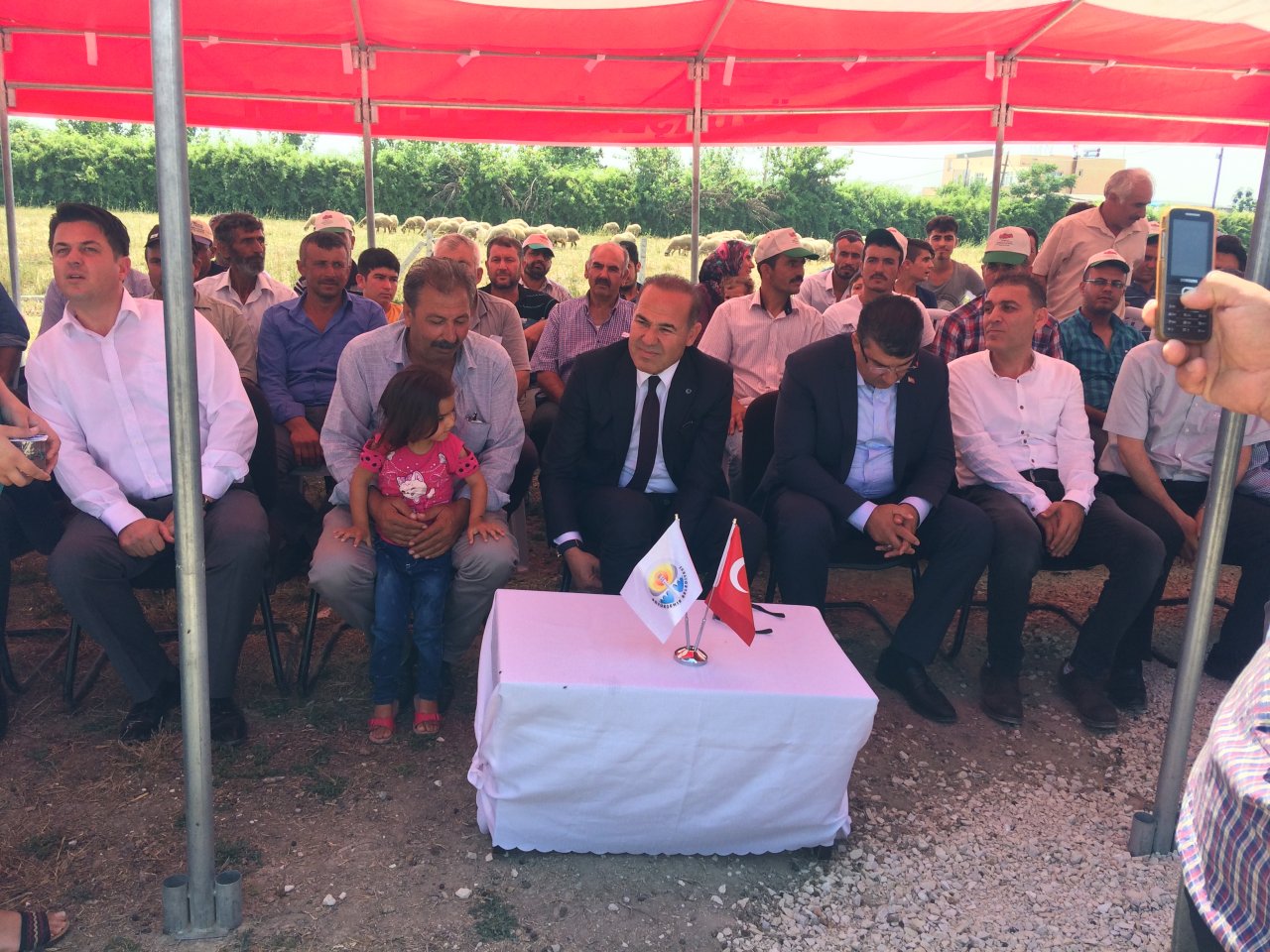 Damızlık Koç Dağıtımı Yapıldı